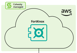 Read more about the article Cohesity FortKnox – Virtual Air Gap Cloud Vault